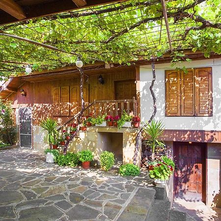 Хаджикольовата Къща Villa Medven Exterior photo