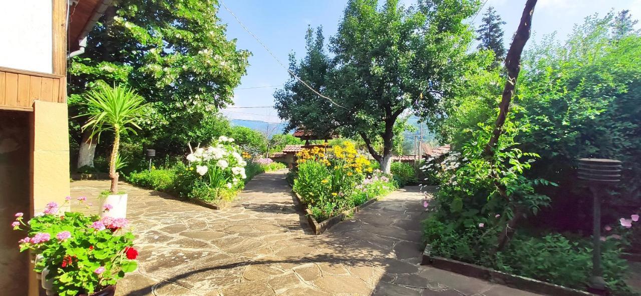Хаджикольовата Къща Villa Medven Exterior photo