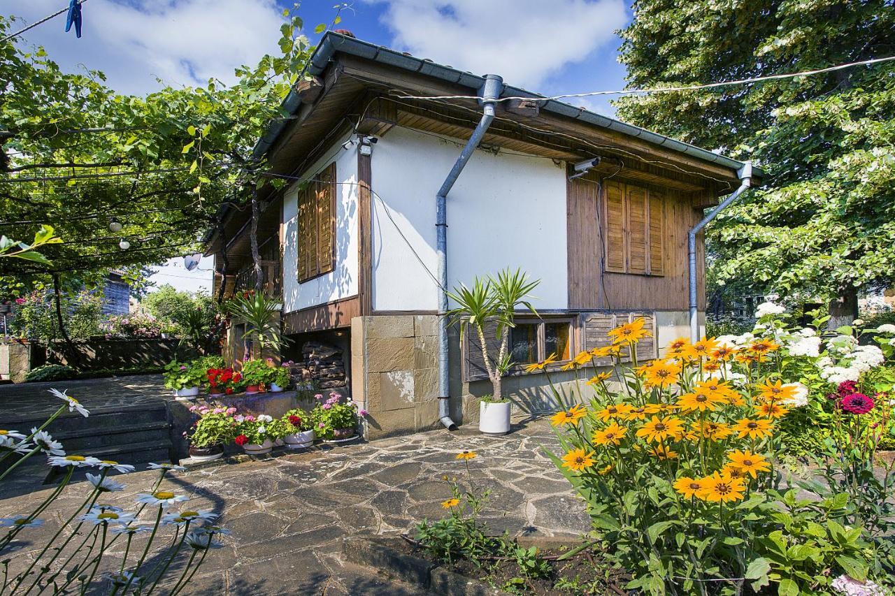 Хаджикольовата Къща Villa Medven Exterior photo